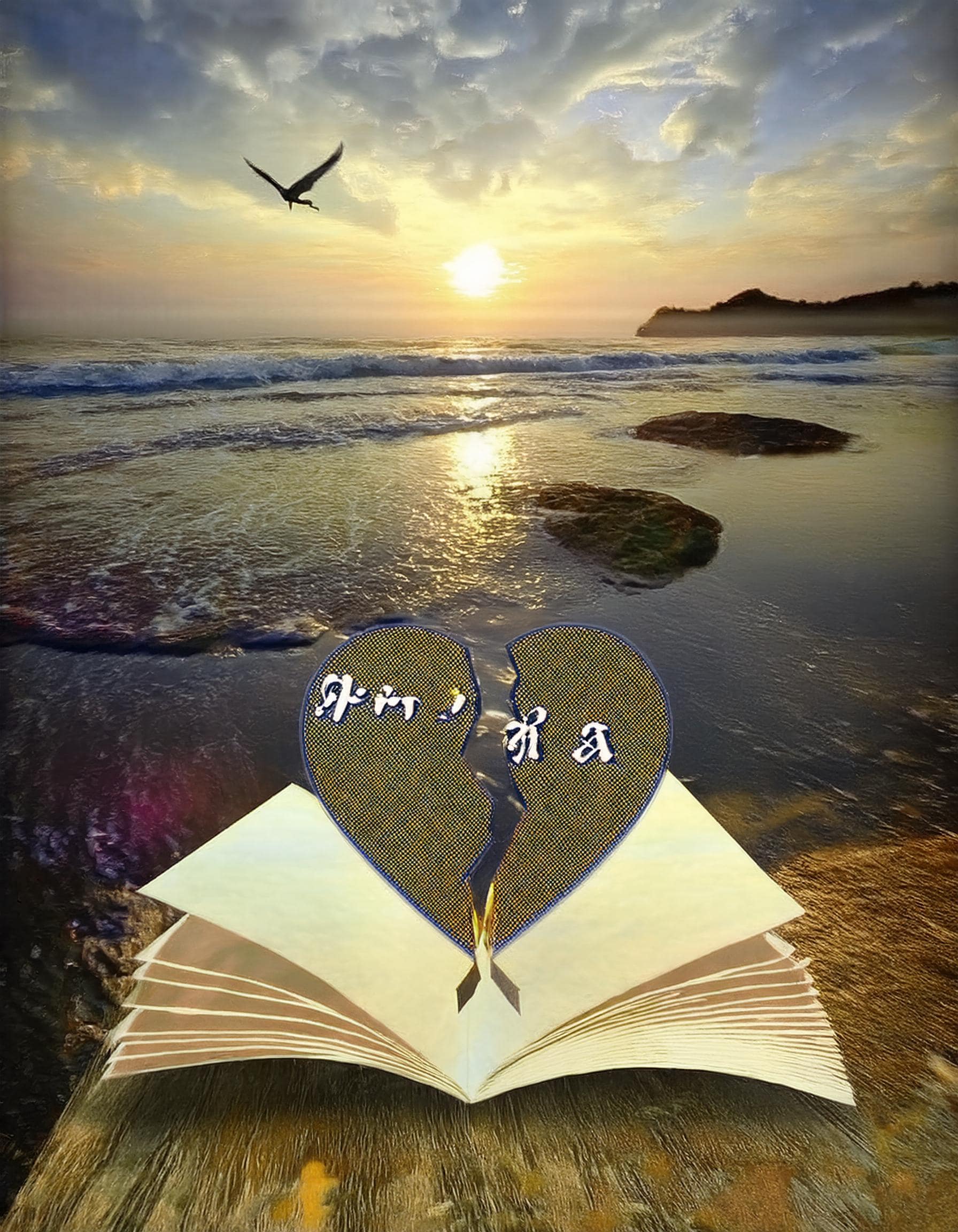 Cover of undefined